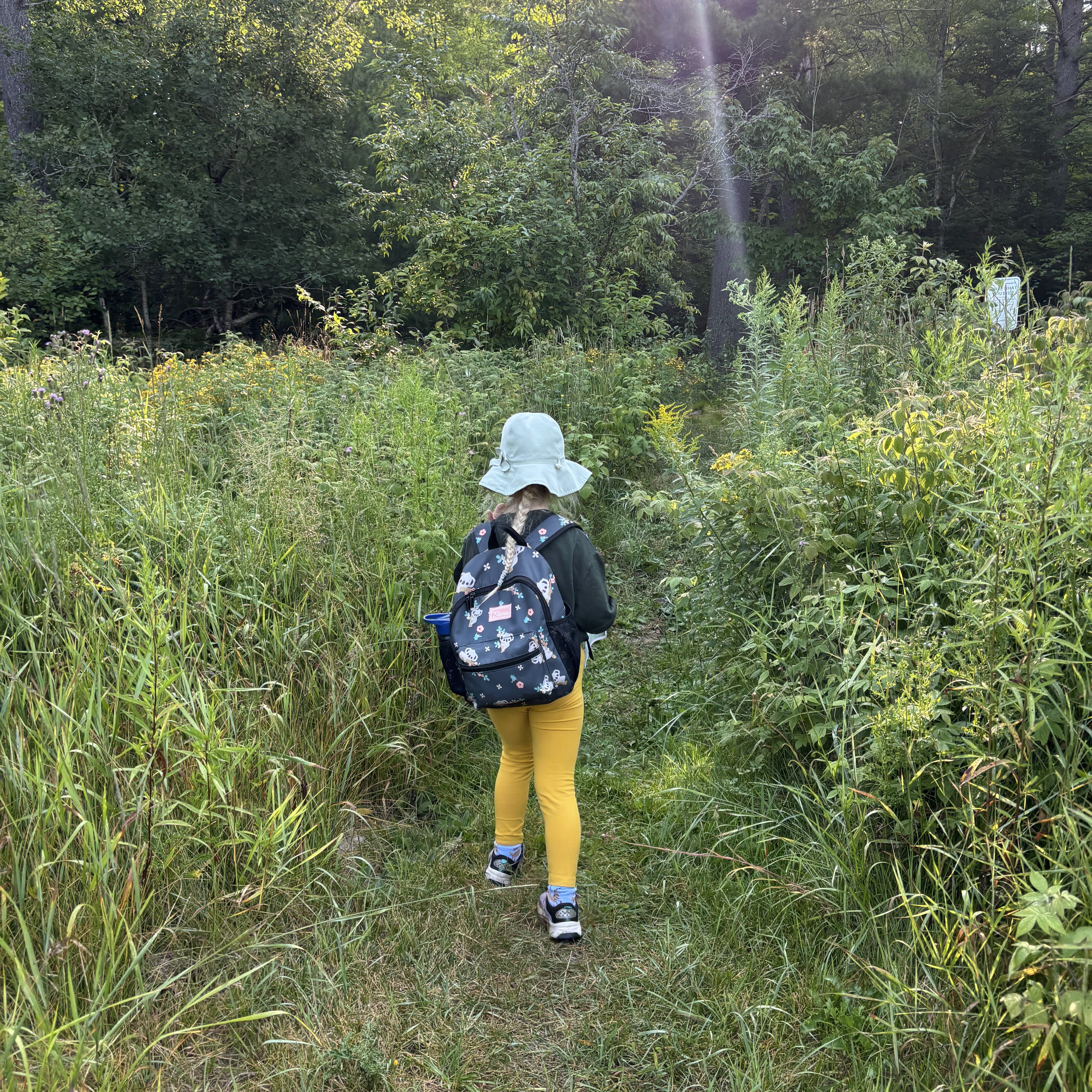 Junior Explorers: The Good, The Bad, & The Blooming - logo